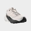 Picture of SALOMON PULSAR VANILLA ICE/BLACK/SLV CL